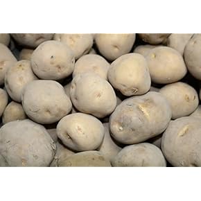 Amazon.co.jp: 苗 - 種・苗: DIY・工具・ガーデン: 花, 野菜, 果物