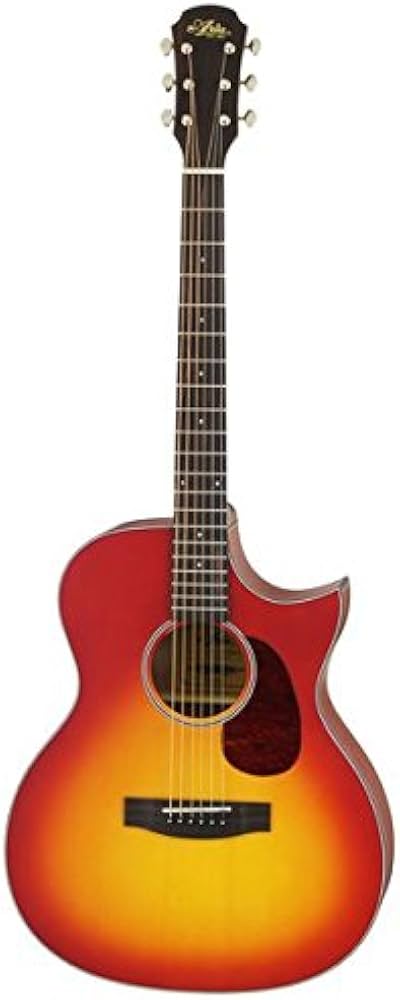 Amazon | 【ケース付】ARIA アリア Aria-101CE/MTCS Cherry Sunburst