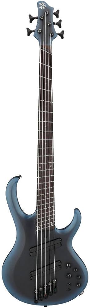Amazon.com: Ibanez BTB605MS Bass Workshop 5-String Right-Handed