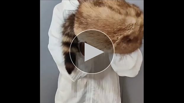Amazon.co.jp: Vepoty アライグマ しっぽ 防風 キャップ ロシア 冬