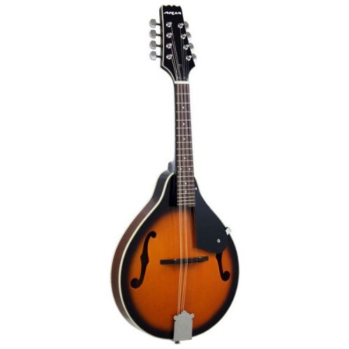 Amazon | ARIA Mandolin AM-20 フラット マンドリン ハードケース付き