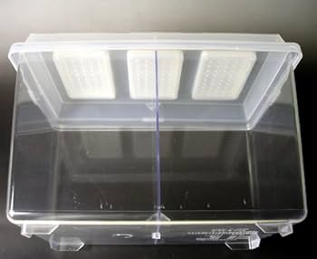 Amazon | KKDYWQZEE シーラケース プラスチック【コバエをシャット