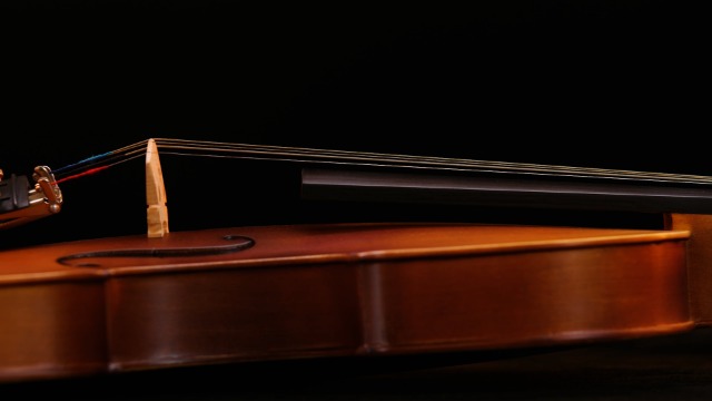 Amazon | Eastar バイオリン 初心者セット 艶消し 指板マーク