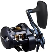 Amazon | ダイワ(DAIWA) 船竿 アナリスターテンヤタチウオ 82-190