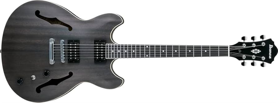 Amazon | Ibanez AS53 Transparent Black Flat セミアコギター 島村