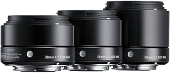 Amazon.com : Sigma 60mm F2.8 EX DN Art (Black) for Micro 4/3
