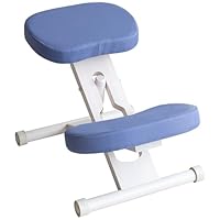 Amazon.co.jp: 宮武製作所 プロポーションチェア 幅48.5×奥行61-68×高