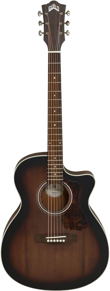 Amazon | GUILD (ギルド) エレアコギター アーチバック シリーズ