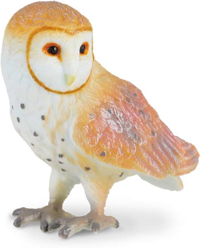 Amazon | COLLECTA 動物フィギュア メンフクロウ 88003 | フィギュア