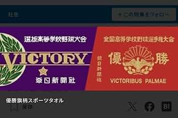 5128VDLScpL._AC_UF350,