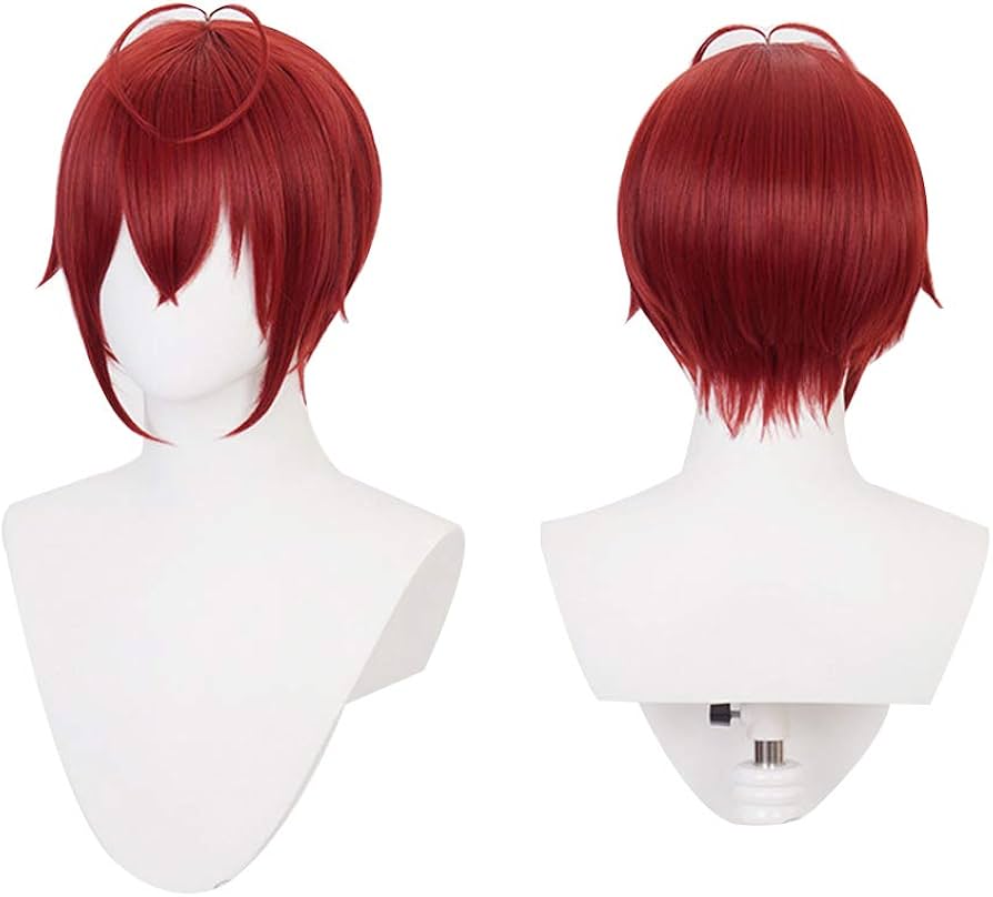 Amazon.co.jp: Amycute ツイステ リドル・ローズハート コスプレ