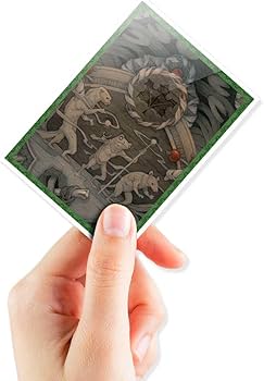 Amazon.co.jp: Ultra PRO APEX デッキプロテクタースリーブ 105枚