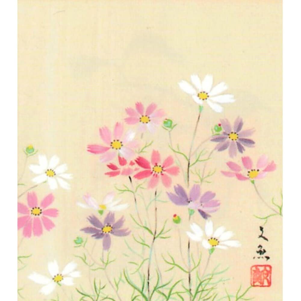 Amazon.co.jp: 中谷文魚 秋桜 色紙 ナチュラル 日本画 静物画 コスモス