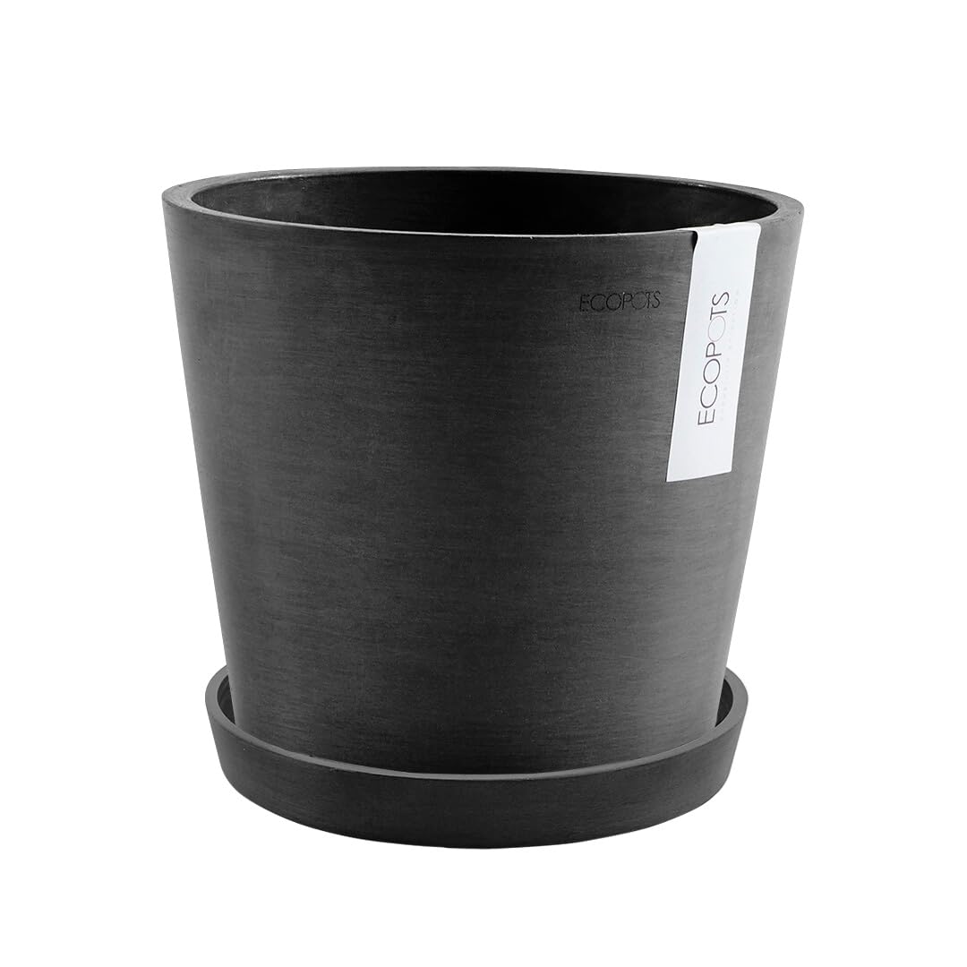 Amazon.co.jp: AND PLANTS アンドプランツ 植木鉢 鉢 6号 穴あり