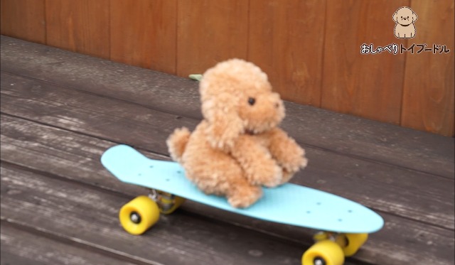 Amazon.co.jp: 大人向け 音声認識 ぬいぐるみ 【 おしゃべりトイ