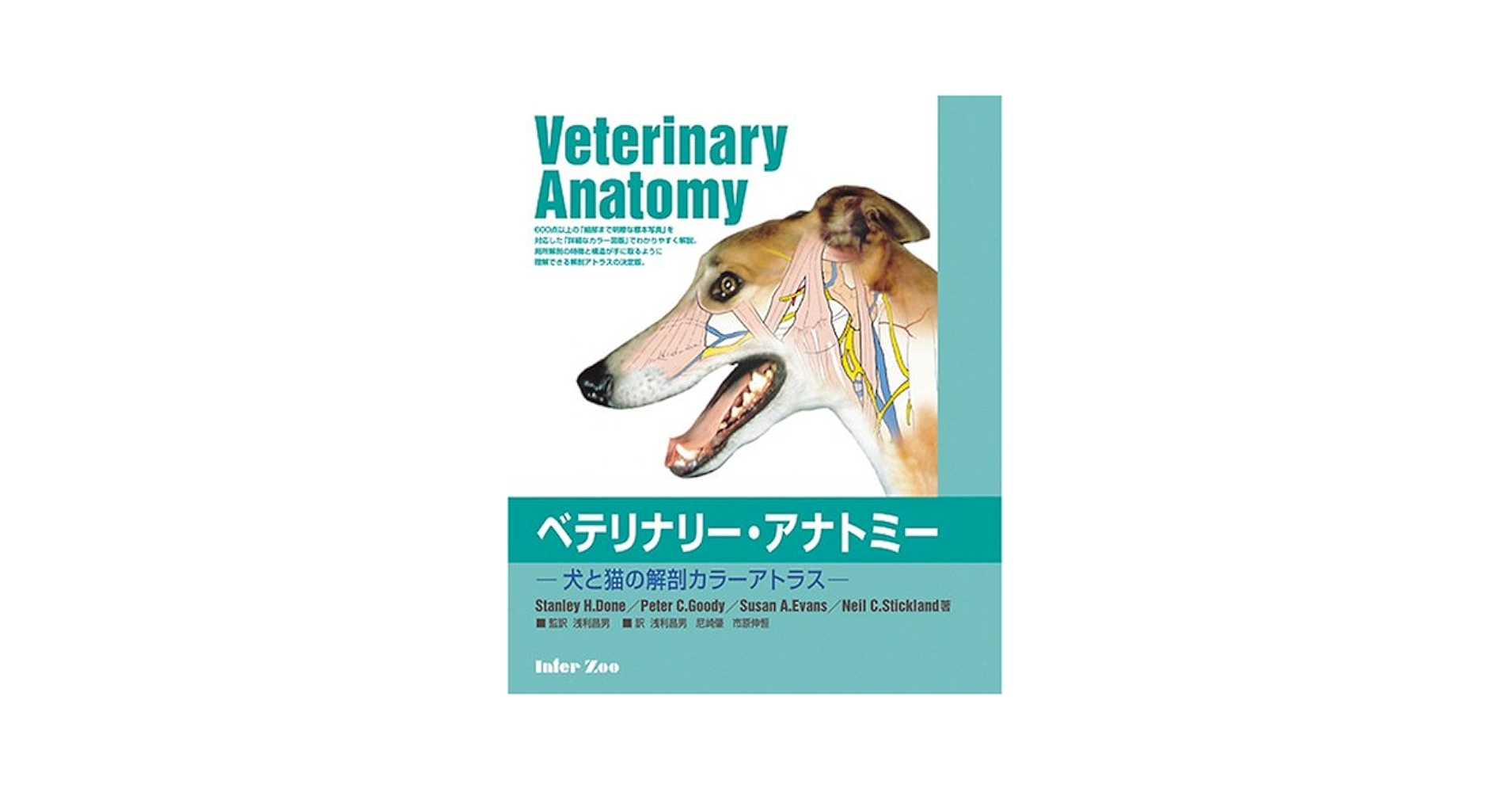 Amazon.co.jp: ベテリナリ-・アナトミ-: 犬と猫の解剖カラ-アトラス