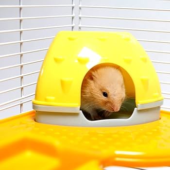 Amazon | YIBOPET ハムスターケージ 小動物ケージ ケージサイズ:36(W