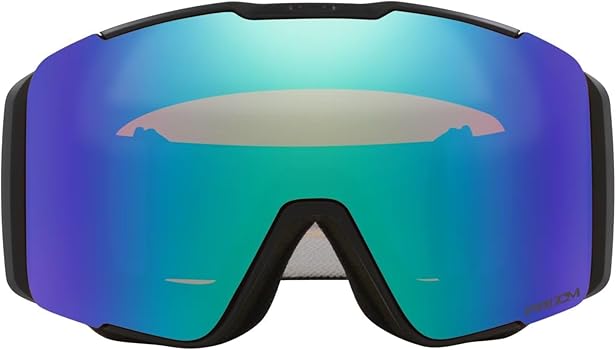 Amazon.com: Oakley Line Miner L Pro Prizm Snow Goggles Black with