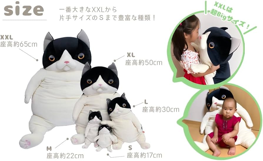 Amazon.co.jp: シナダグローバル もちシリーズ もちねこ クツシタ (S