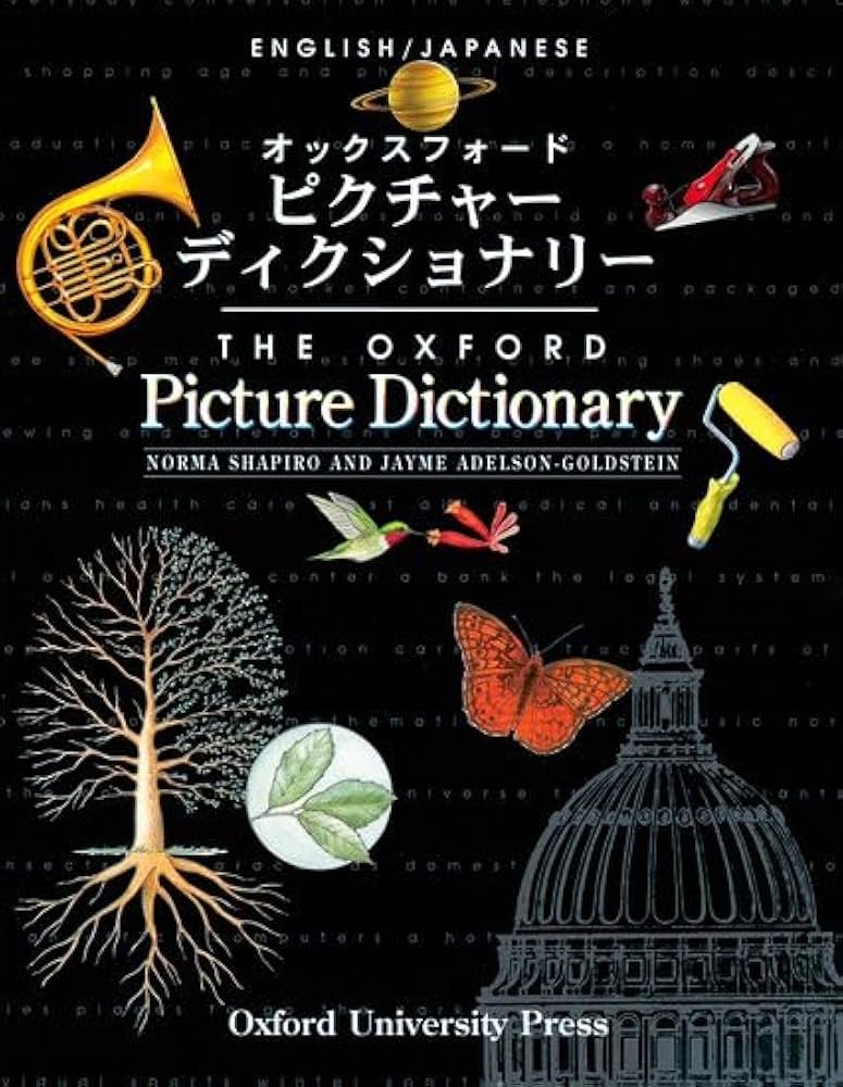 mituro❁⃘*.゜ フォニックスディクショナリーセット mituro❁⃘*.゜