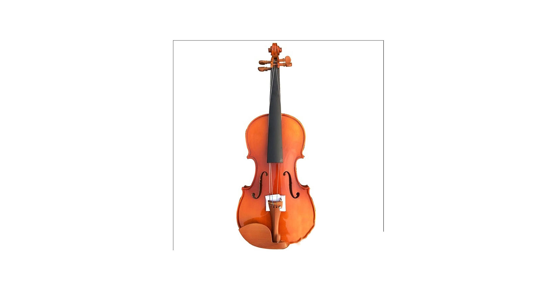 51FhybshqKL.jpg_BO30,255,255,