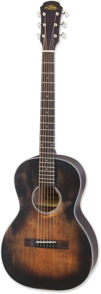 Amazon.com: Aria Delta Player 6 String Acoustic Guitar, Muddy