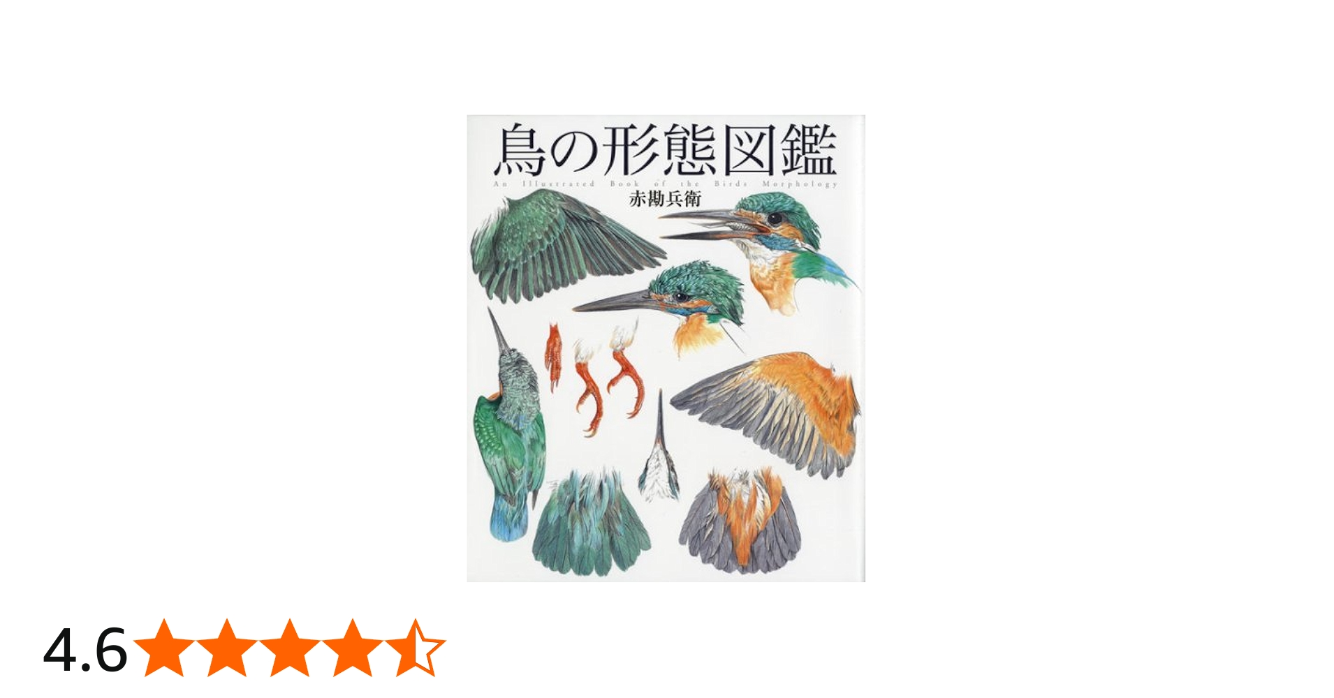 鳥の形態図鑑 | 赤 勘兵衛 |本 | 通販 | Amazon