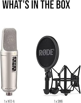 Amazon.co.jp: RODE Microphones NT2-A Condenser Microphone NT2A