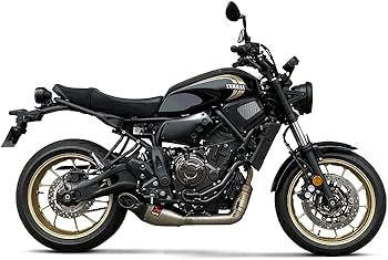 Amazon | アクラポビッチ(AKRAPOVIC)マフラー レーシングライン チタン