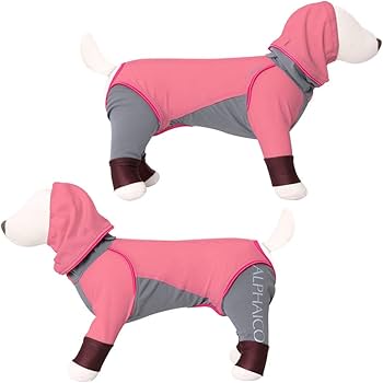 Amazon | レインドッグガード(2021年モデル)(ブルーグレー,XL