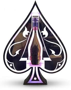 51cmS-Sc9LL._AC_UF350,