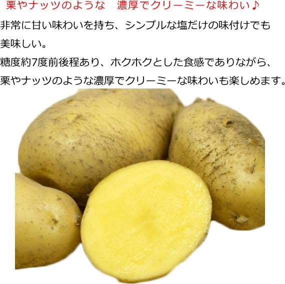 Amazon.co.jp: ジャガイモ・ながさき黄金 種芋 500g L〜Sサイズ : DIY