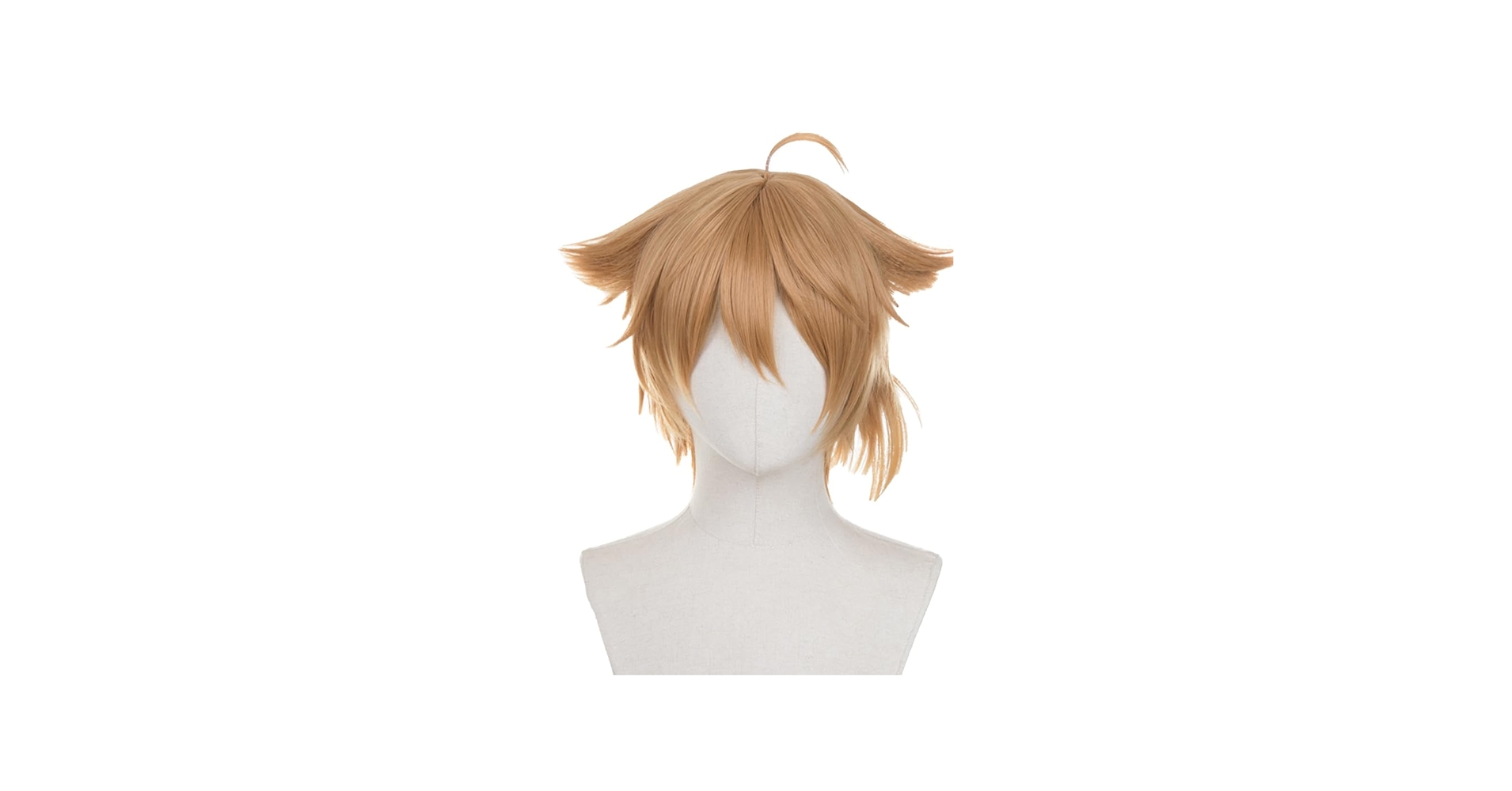 Amazon.co.jp: 伏見ガク 長尾景 緑仙 コミケ ウィッグ コスプレ