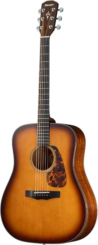 Amazon.co.jp: Morris M-025 TS スプルース単板トップ モーリス