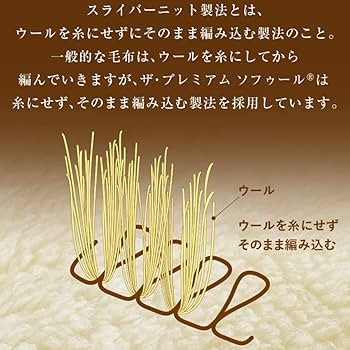 Amazon.co.jp: The PREMIUM Sofwool 掛け毛布 S(シングル) : ホーム