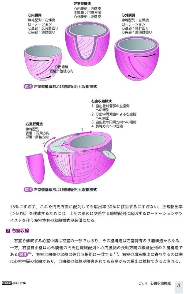 TEE試験対策ガイド ―JB-POT・心エコー図専門医試験徹底攻略 | 岡本