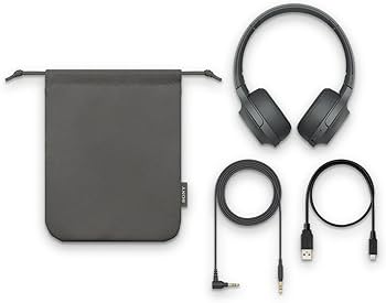 Amazon.co.jp: ソニー ワイヤレスヘッドホン h.ear on 2 Mini Wireless
