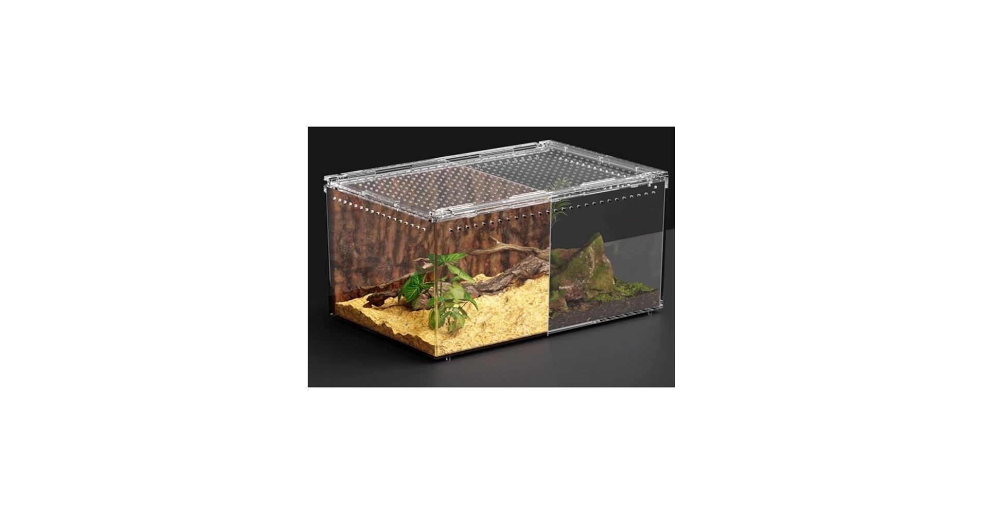 Amazon | ChoyClit レプタイルボックス 爬虫類 飼育ケース 虫かご 大