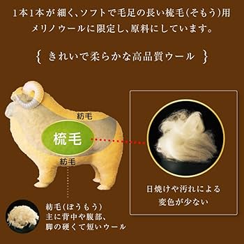 Amazon.co.jp: The PREMIUM Sofwool 敷き毛布 SD(セミダブル) : ホーム