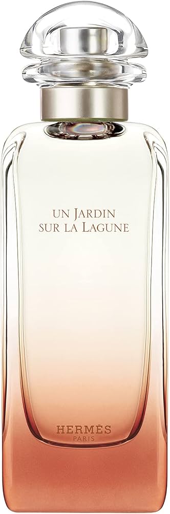 Amazon | エルメス ラグーナの庭 EDT SP 100ml [並行輸入品] | HERMES