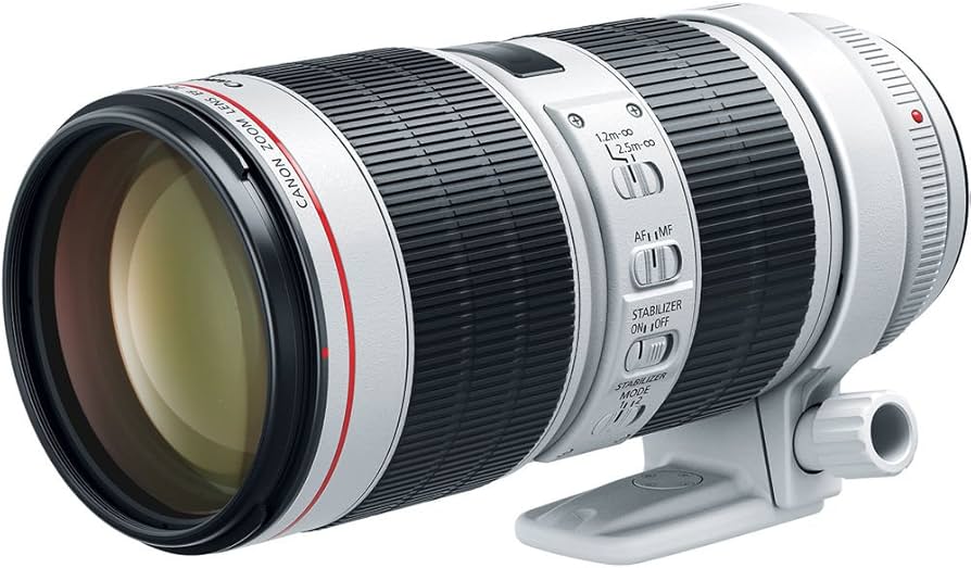 Amazon.com : Canon EF 70-200mm f2.8 L is III USM Telephoto Lens