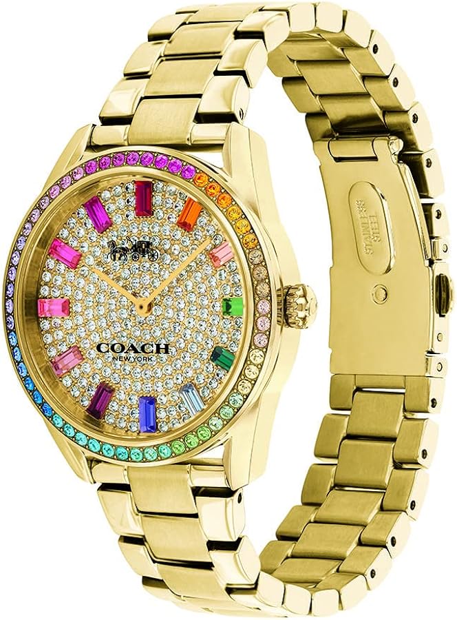 Amazon.com: Coach Preston Women's Watch | Touch of Playfulness