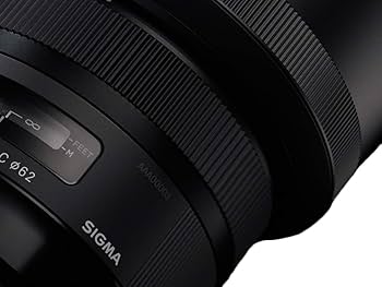 Amazon.com : Sigma 30mm F1.4 Art DC HSM Lens for Canon : Digital