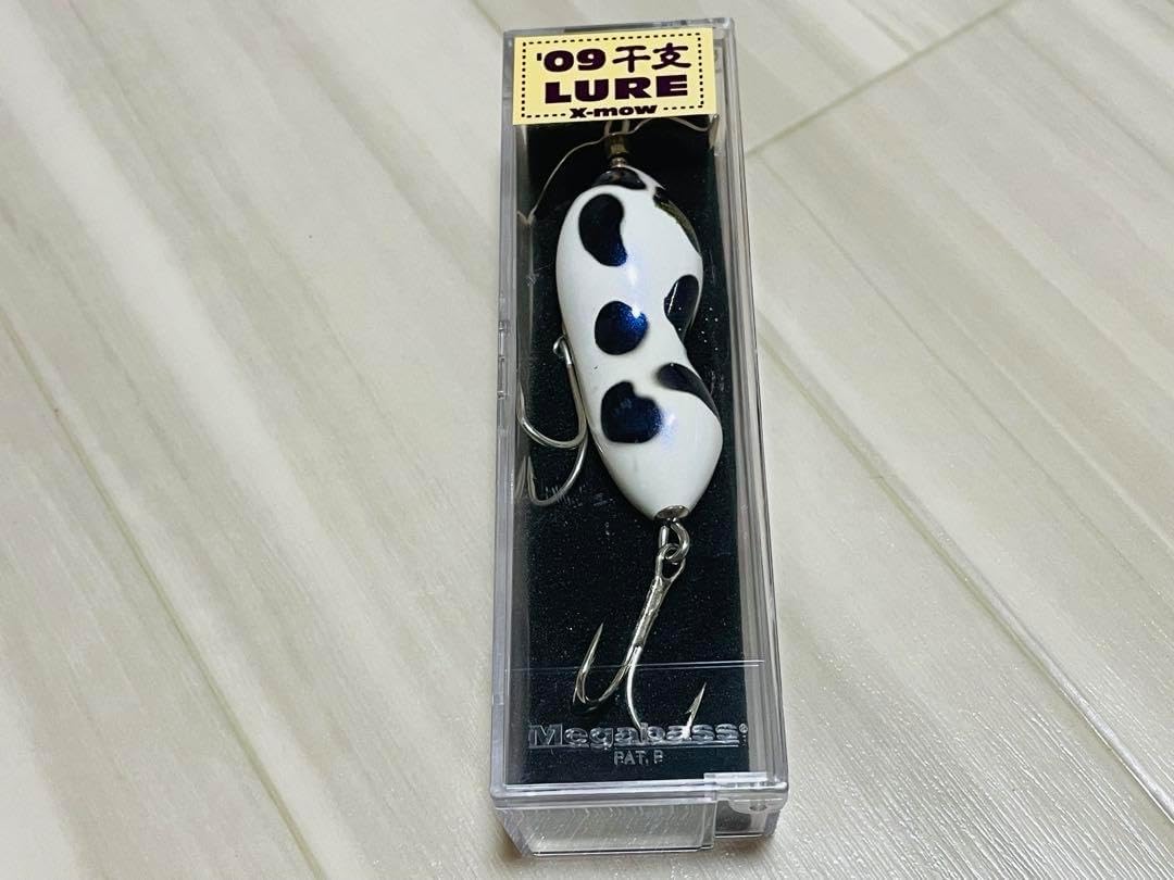 アンゴラ産 キャンサータマオシコガネ 46mm アンゴラ産 キャンサー