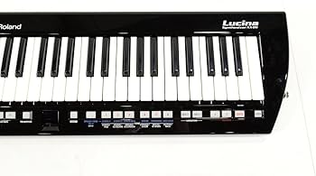Amazon | Roland / AX-09 LUCINA BLACK ローランド ショルダー