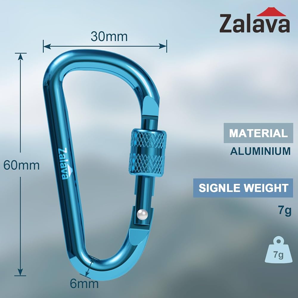 Amazon.com: Zalava 6PCS Carabiner Keychain, 2 inch Aluminum D-Clip