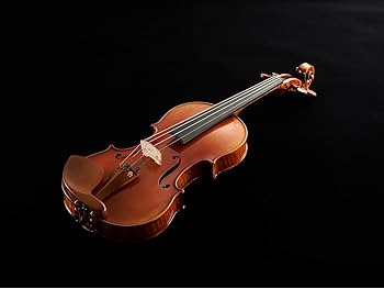 Amazon.co.jp: ヤマハ YAMAHA Braviol ブラビオール バイオリン V25GA