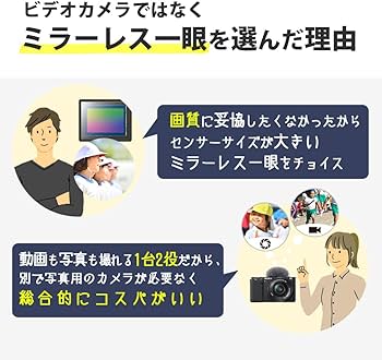 Amazon.co.jp: SONY ビデオカメラ FDR-AX40 4K 64GB 光学20倍 ブロンズ