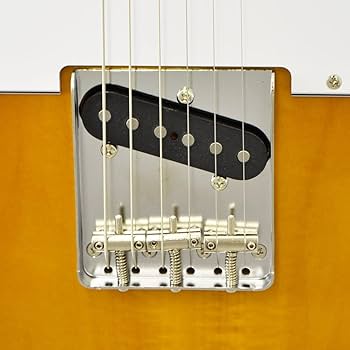 Amazon | FUJIGEN JTL6R/3TS #J180360 エレキギター フジゲン | エレキ