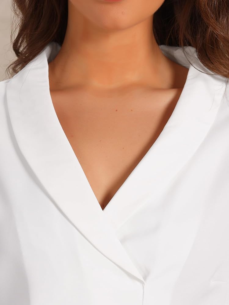 Allegra K Work Blouse for Women's Shawl Collar Long Sleeve Office